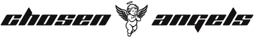 Chosen Angels